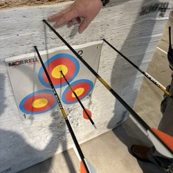 Bass Pro Shops - My first shot with a recurve bow I purchased and it was a bullseye