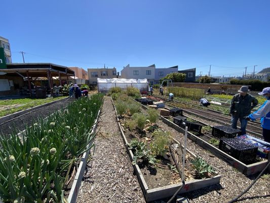 Florence Fang Community Farm by null