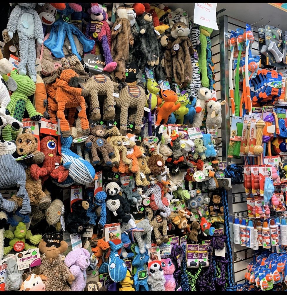 Are Dollarama Dog Toys Safe