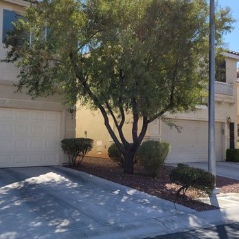 Arellano’s Tree Service - Before - Tree Services Near Me Arellano’s Tree Service - Before - Tree Services Near Me