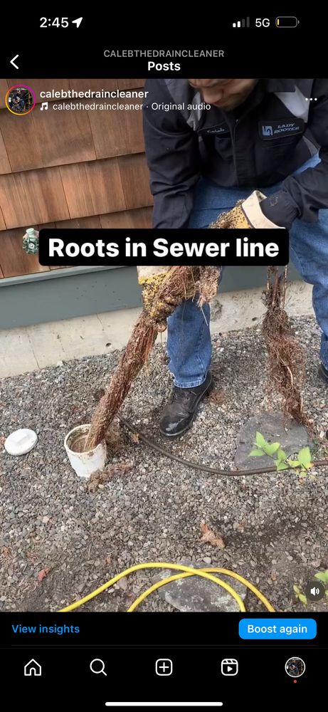 Slide of Lady Rooter