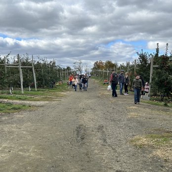 Johnson's Locust Hall Farm - Attraction Farms Near Me - Jobstown, New Jersey