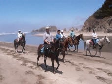Costanoa by null