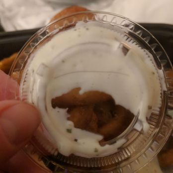 Yard House - This is a short black hair IN my onion ring dipping sauce! - New American Near Me - Rancho Mirage, California