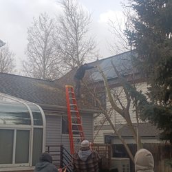 Visentin Yard & Tree Maintenance - Travis and the A-Team hard at work.