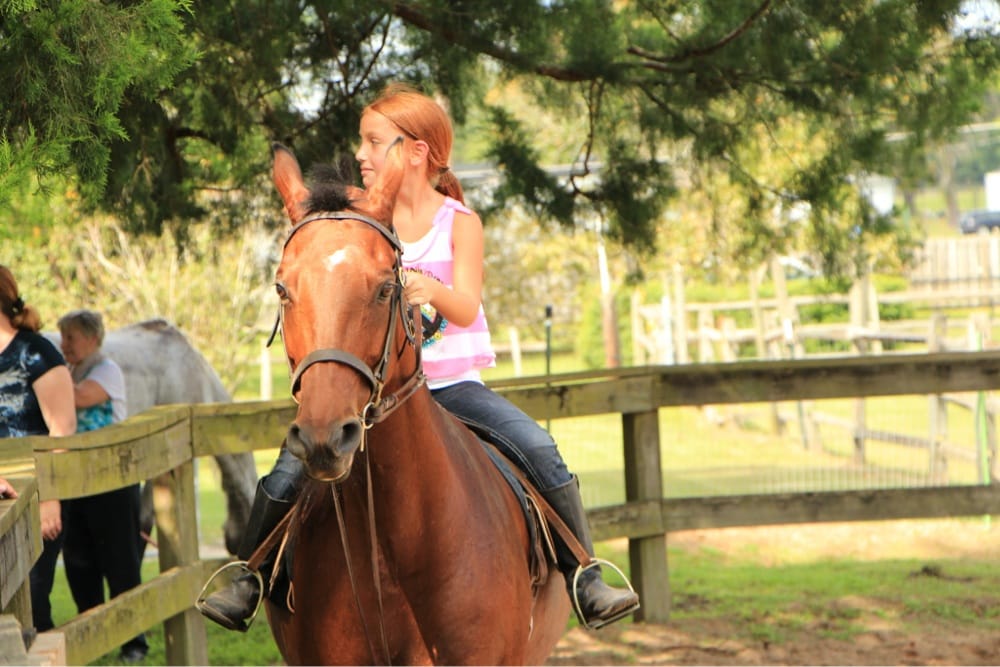 Dixie Stables and Riding Academy - equestrian in Allenhurst, GA