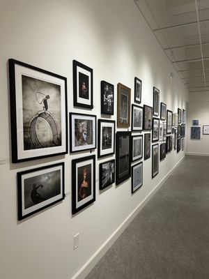 The Florida Museum of Photographic Arts by null