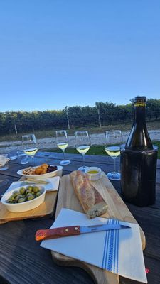 McCall Wines by null