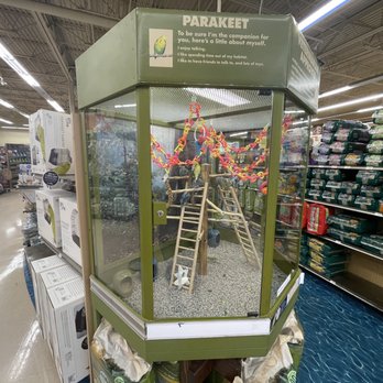 Petco - parakeets - Pet Stores Near Me - Pearl City, Hawaii Petco - parakeets - Pet Stores Near Me - Pearl City, Hawaii