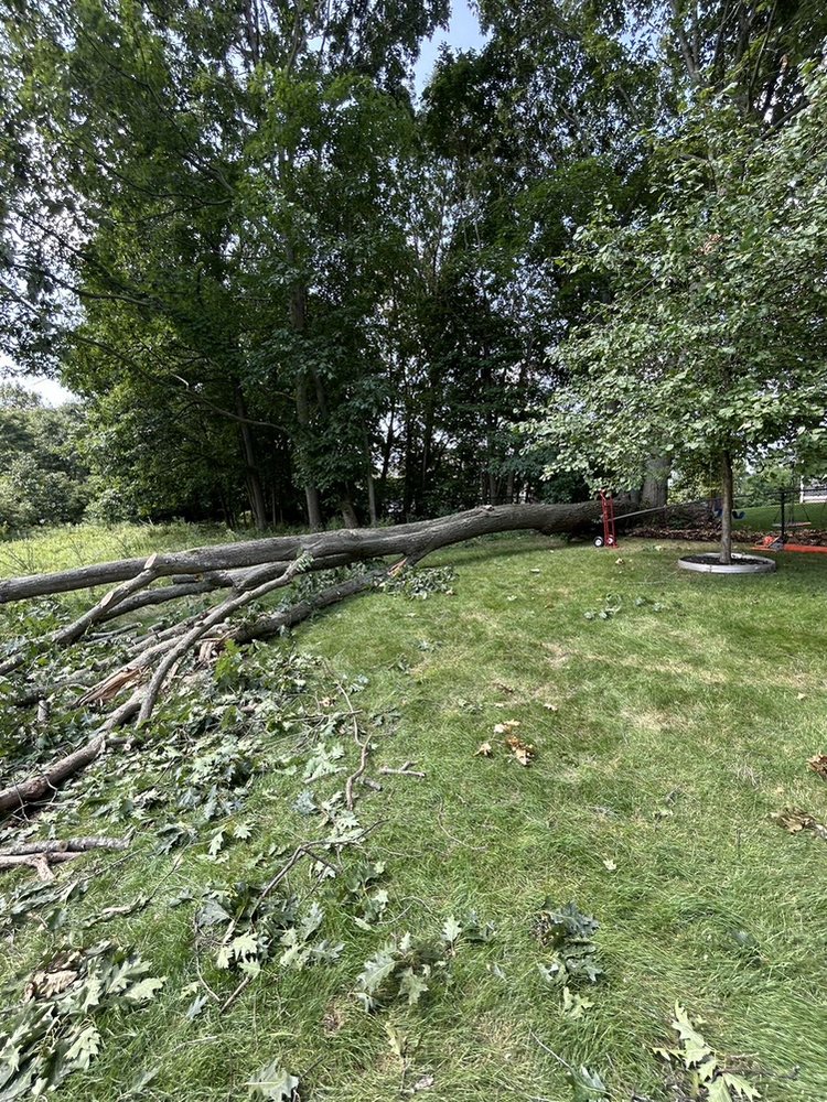 Smalls Tree Service - tree service in Grand Rapids, MI