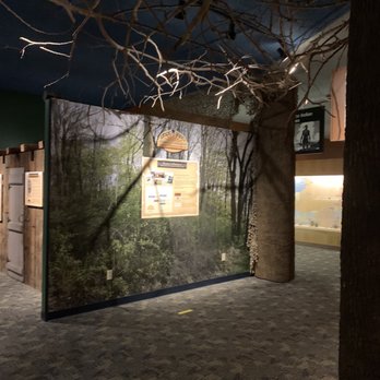 RMSC Museum & Science Center - Underground Railroad exhibit - Museums Near Me - Rochester, New York RMSC Museum & Science Center - Underground Railroad exhibit - Museums Near Me - Rochester, New York