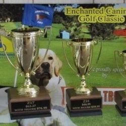 All Sports Trophies