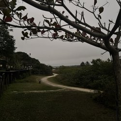 Hotel Pousada Praia do Farol - The backyard