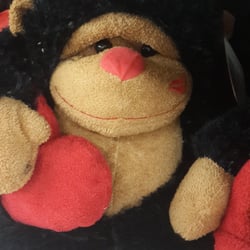 Fell in love with this little guy @ Deals
