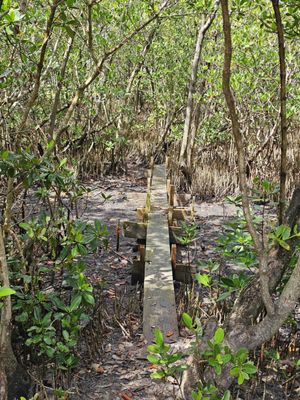 Pelican Island National Wildlife Refuge by null