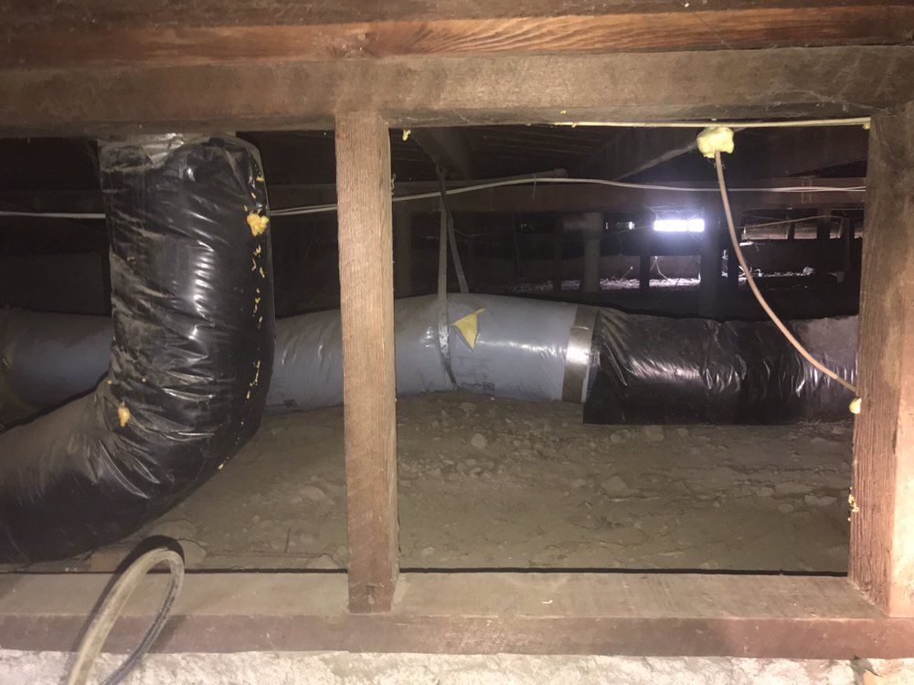 Slide of 21st Century Plumbing