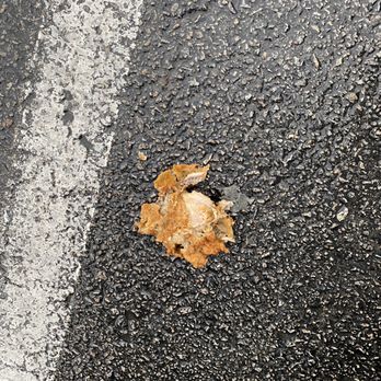 KFC - Nasty Thigh - Fast Food Near Me - Muncie, Indiana