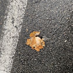 KFC - Nasty Thigh