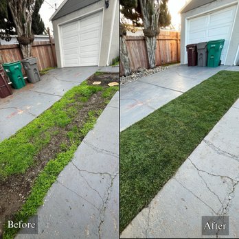Tukia Landscaping - before and after photos - Landscaping Near Me Tukia Landscaping - before and after photos - Landscaping Near Me