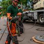 Photo of Scarlett Oaks Tree Care