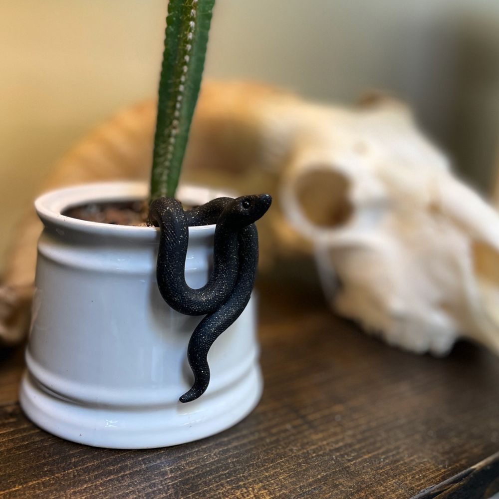 Taxonomy - taxidermy in Taos, NM