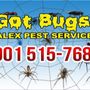 Photo of Alex Pest Services