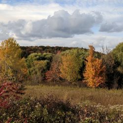 Hoffman Hills State Recreation Area - Hoffman hills park in menomonie, wi