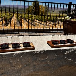 Wine flight, grape vines and bar area.