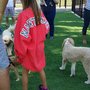 Photo of 3 Girls & A Dog
