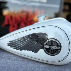 Kiss My G.A.S. Industries - Harley Davidson FXR Paint