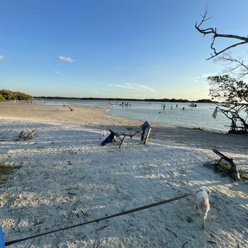 Dog Beach Park - Dog Parks Near Me - Fort Myers, Florida Dog Beach Park - Dog Parks Near Me - Fort Myers, Florida