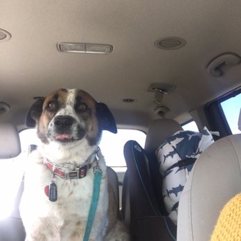 Clear Fork Veterinary Clinic - Ride to vet - Veterinarians Near Me - Aledo, Texas