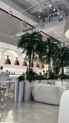 Pura Vida Miami by null