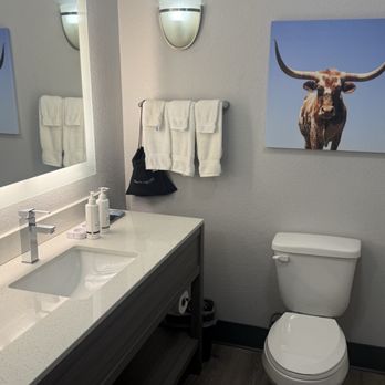 La Quinta by Wyndham Big Spring - Bathroom - Hotels Near Me - Big Spring, Texas La Quinta by Wyndham Big Spring - Bathroom - Hotels Near Me - Big Spring, Texas