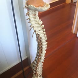 Kauai Chiropractic and Wellness Center