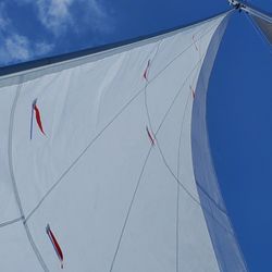 Black Dog Sail Loft