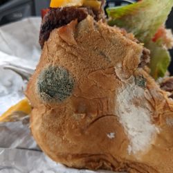 Wendy's - Never eat here again