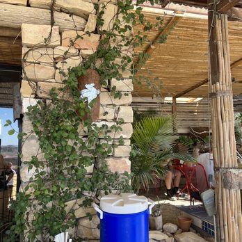 Espresso...Y Poco Mas - Coffee & Tea Near Me - Terlingua, Texas Espresso...Y Poco Mas - Coffee & Tea Near Me - Terlingua, Texas