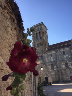 Basilique de Vézelay by null