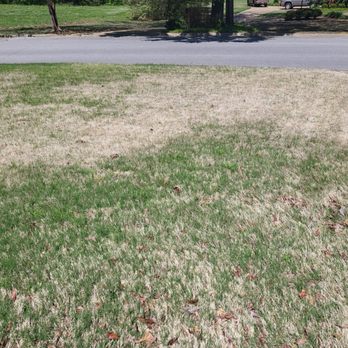 TruGreen Lawn Care - a patch of grass in the middle of a street - Tree Services Near Me - Tupelo, Mississippi TruGreen Lawn Care - a patch of grass in the middle of a street - Tree Services Near Me - Tupelo, Mississippi