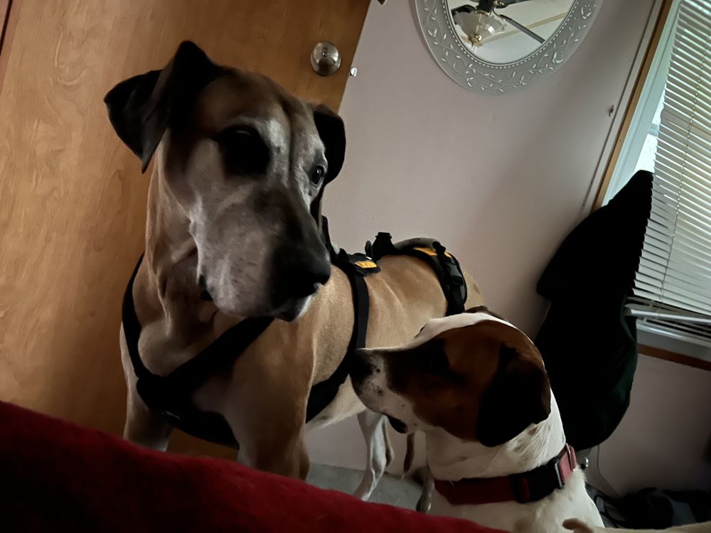 Cedar Grove Counseling Center - grief counselor in West Warwick, RI