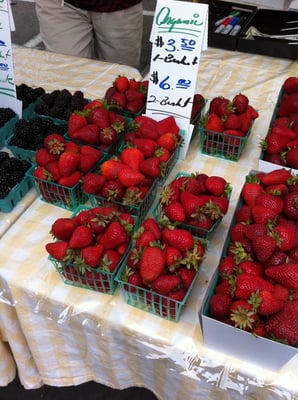 Willow Glen Farmers' Market by null
