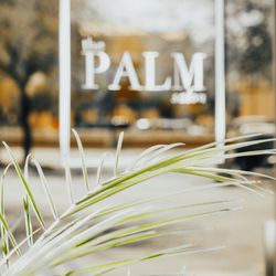 The Palm Salon