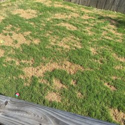 Emerald Lawns