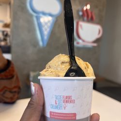 Taste & See Creamery - Pumpkin and ginger snap Junior Scoop Ice Cream