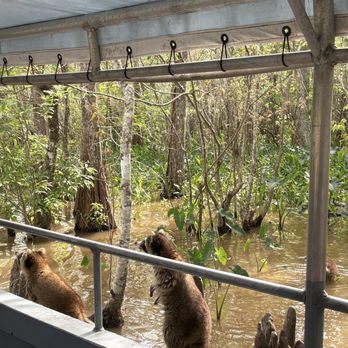 Cajun Encounters Tour Company - Tours Near Me - Slidell, Louisiana