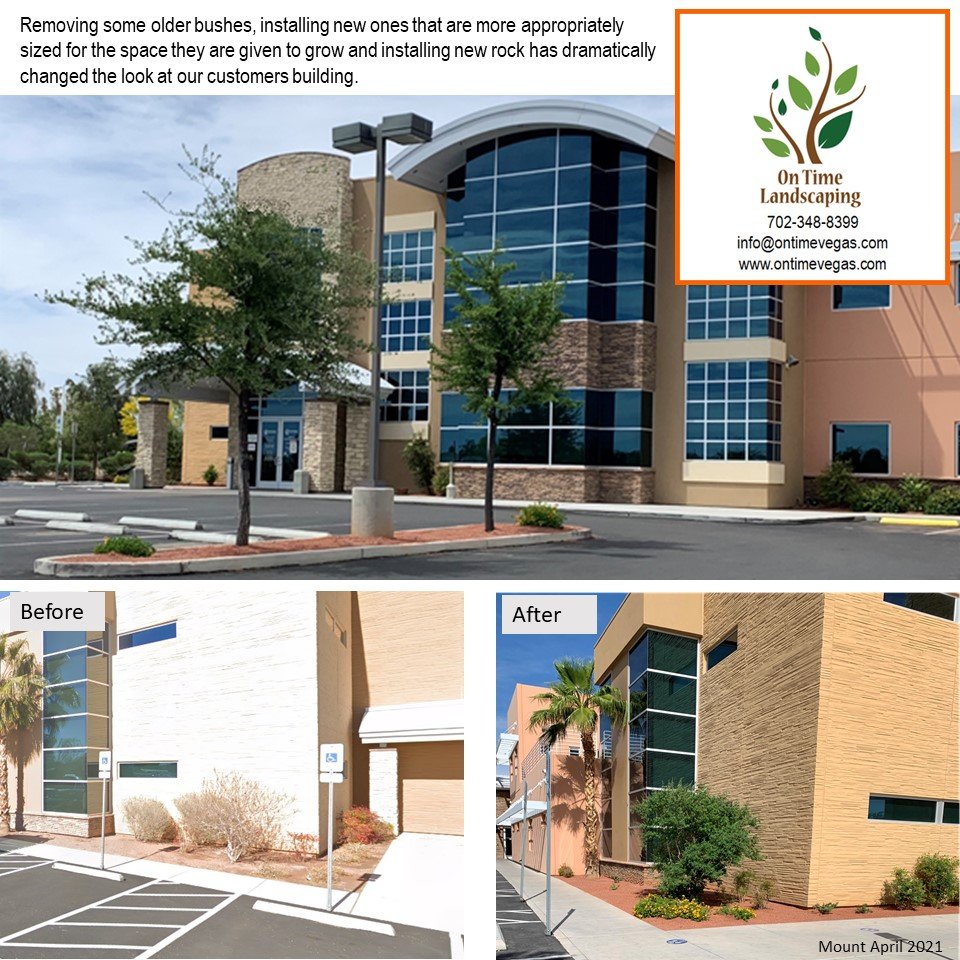 On Time Landscaping - tree service in Las Vegas, NV