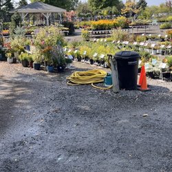 Abrahamson Nurseries - Large variety of plants
