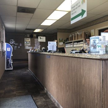 Tehachapi Veterinary Hospital - Veterinarians Near Me - Tehachapi, California