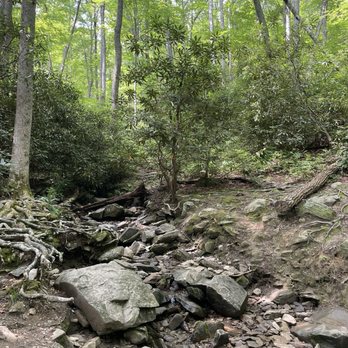 Laurel Falls Trailhead - Dried up creek - Hiking Near Me - Gatlinburg, Tennessee Laurel Falls Trailhead - Dried up creek - Hiking Near Me - Gatlinburg, Tennessee
